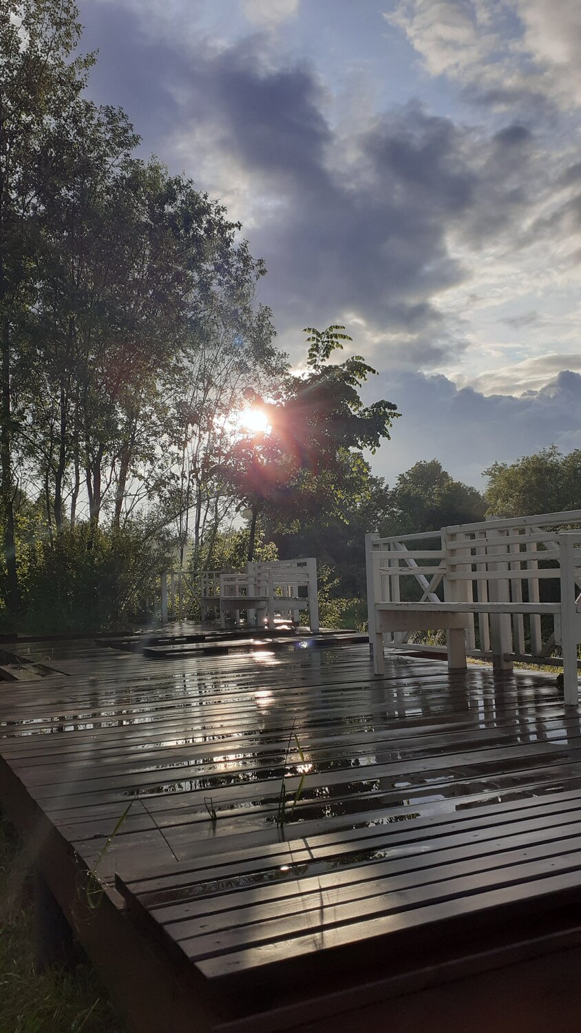 Photo #14077278