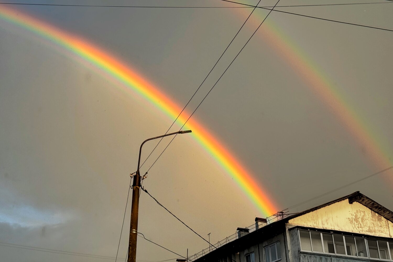 Photo #14077286