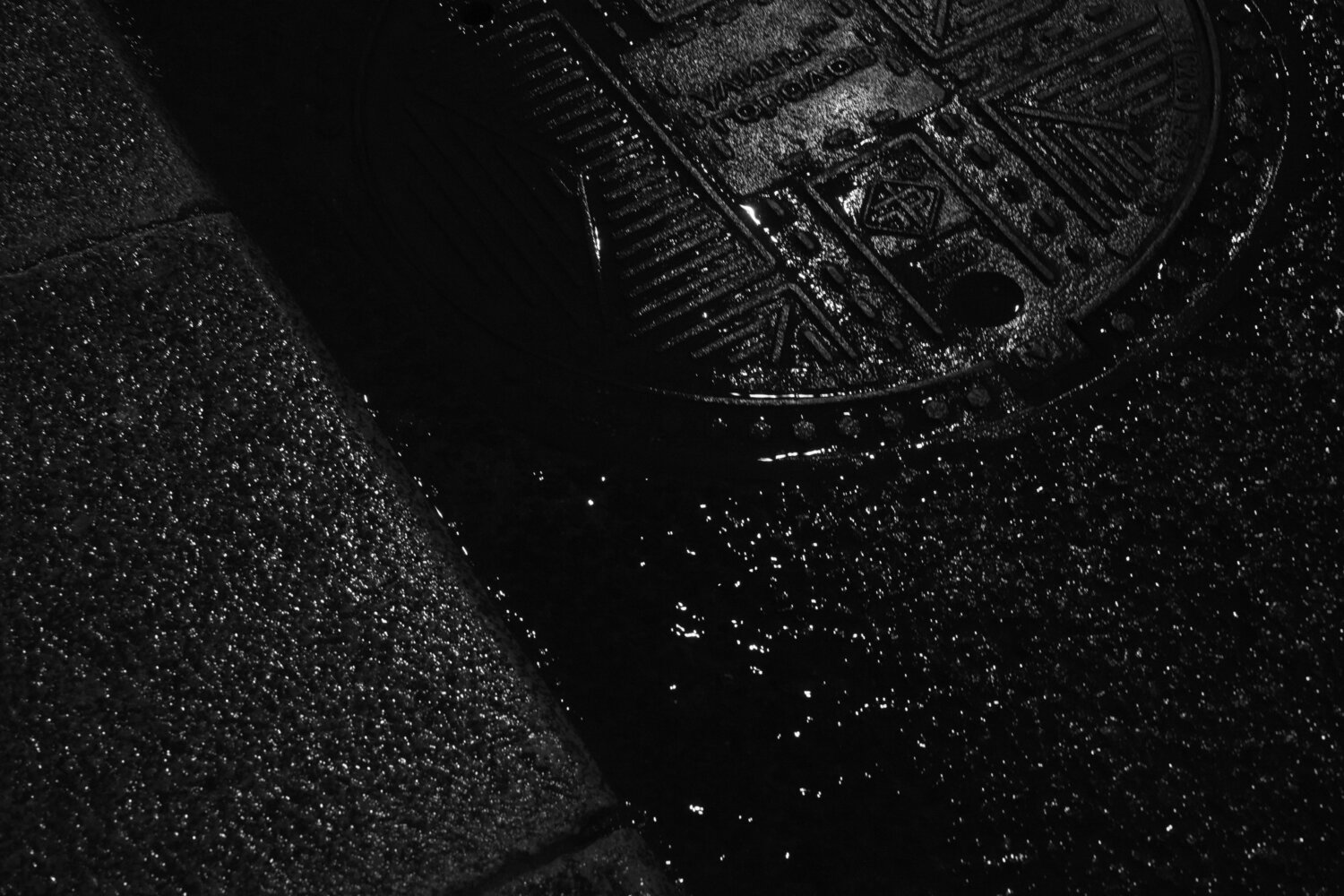 Photo #14077376