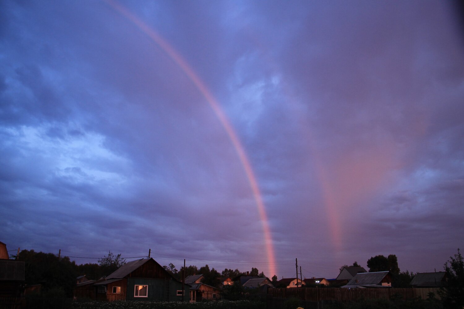 Photo #14077449