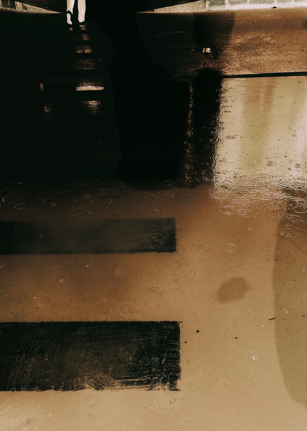 Photo #14077523