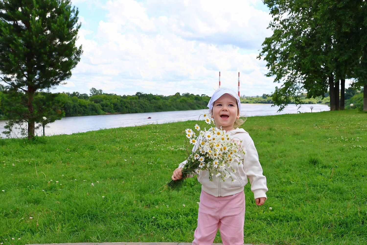 Ромашки