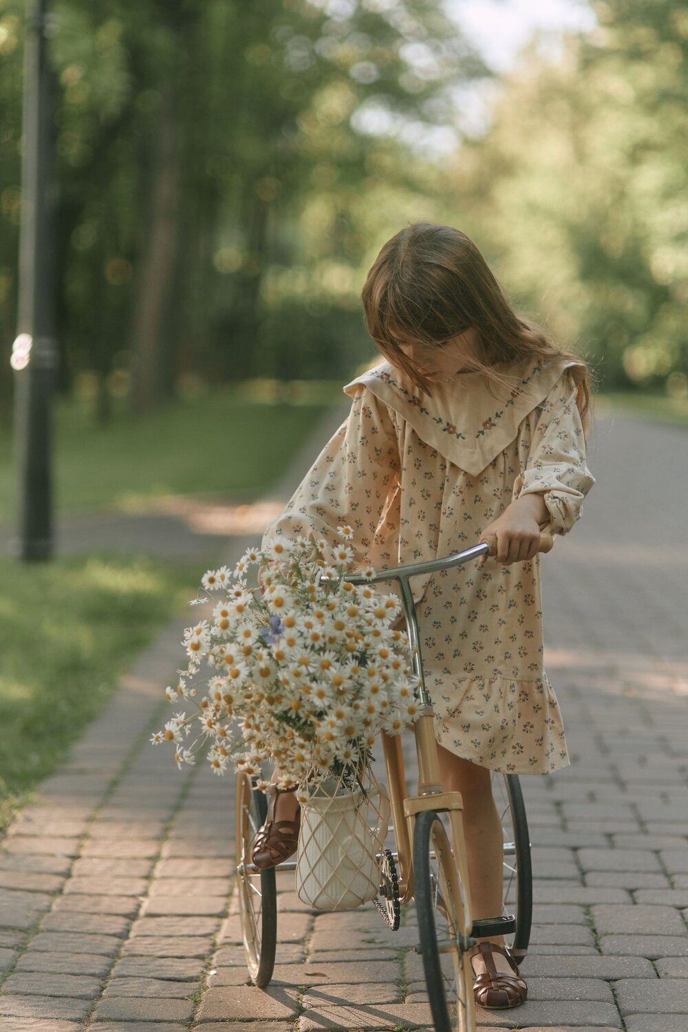 Photo #14077612