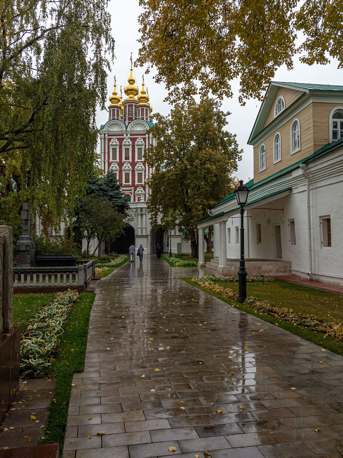 Photo #14077651