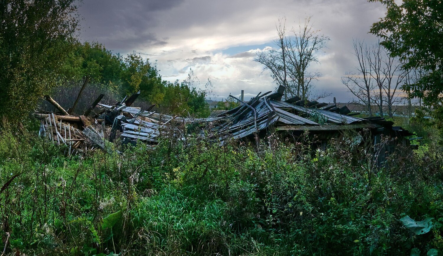 Photo #14077716
