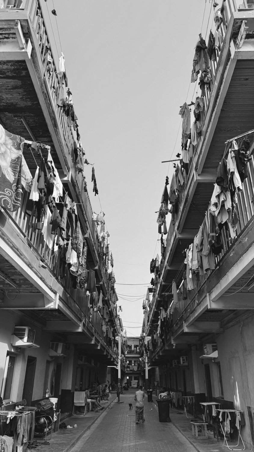 Photo #14077739