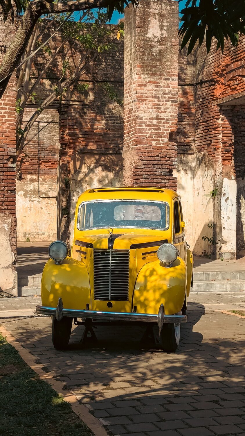 Фотография #14077857