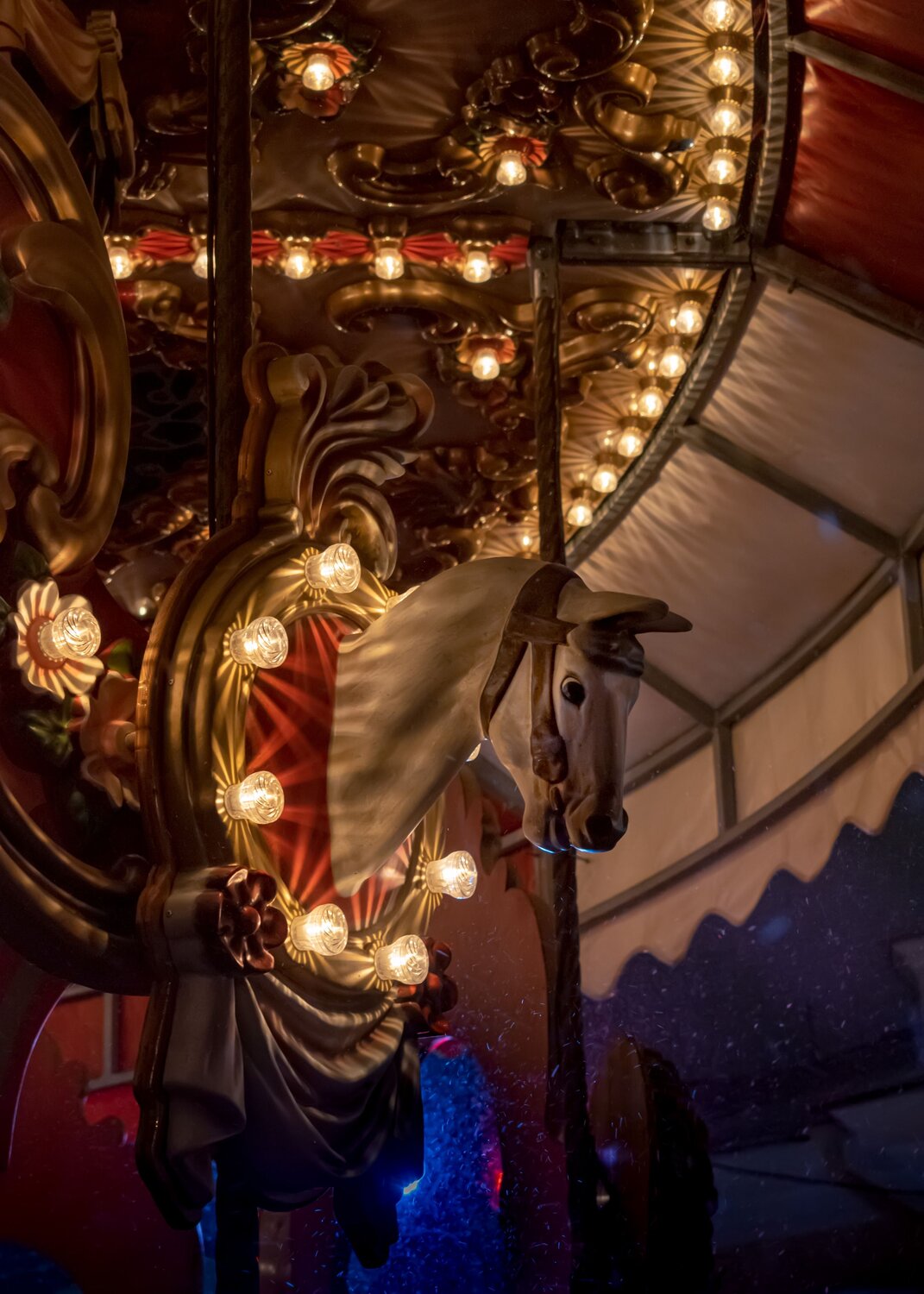 Photo #14077994
