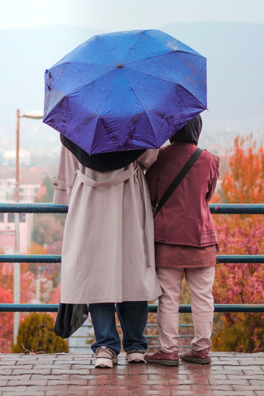 Photo #14078060