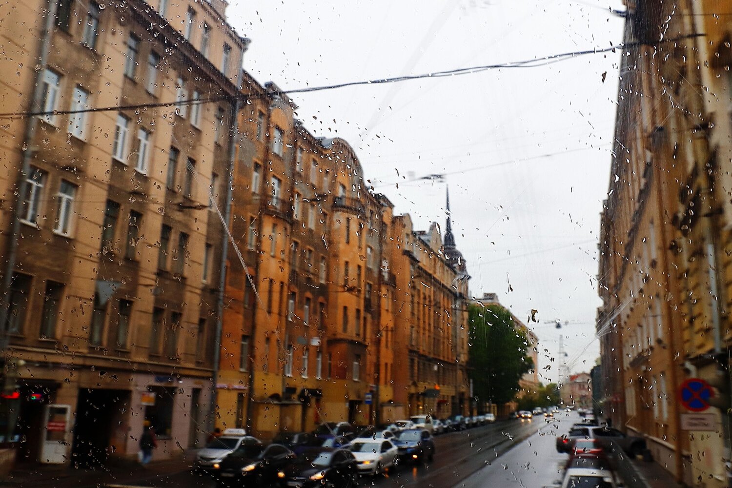 Photo #14078100