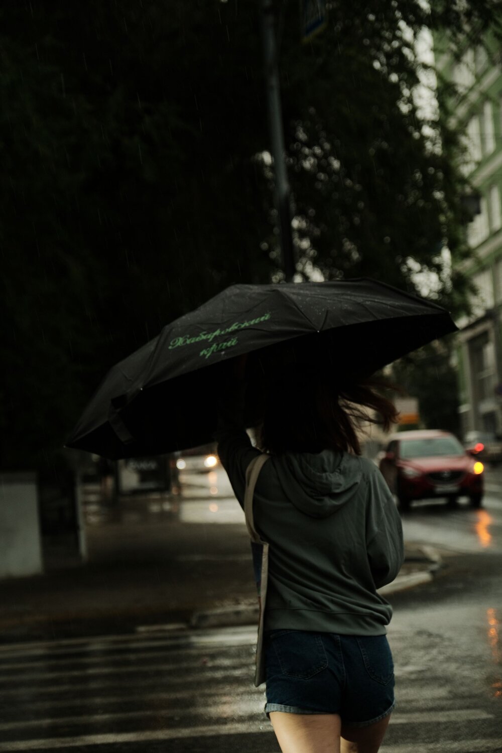 Photo #14078188