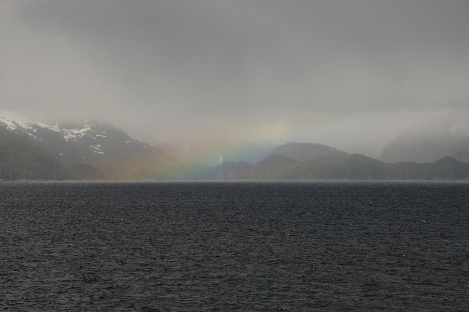 Photo #14078197
