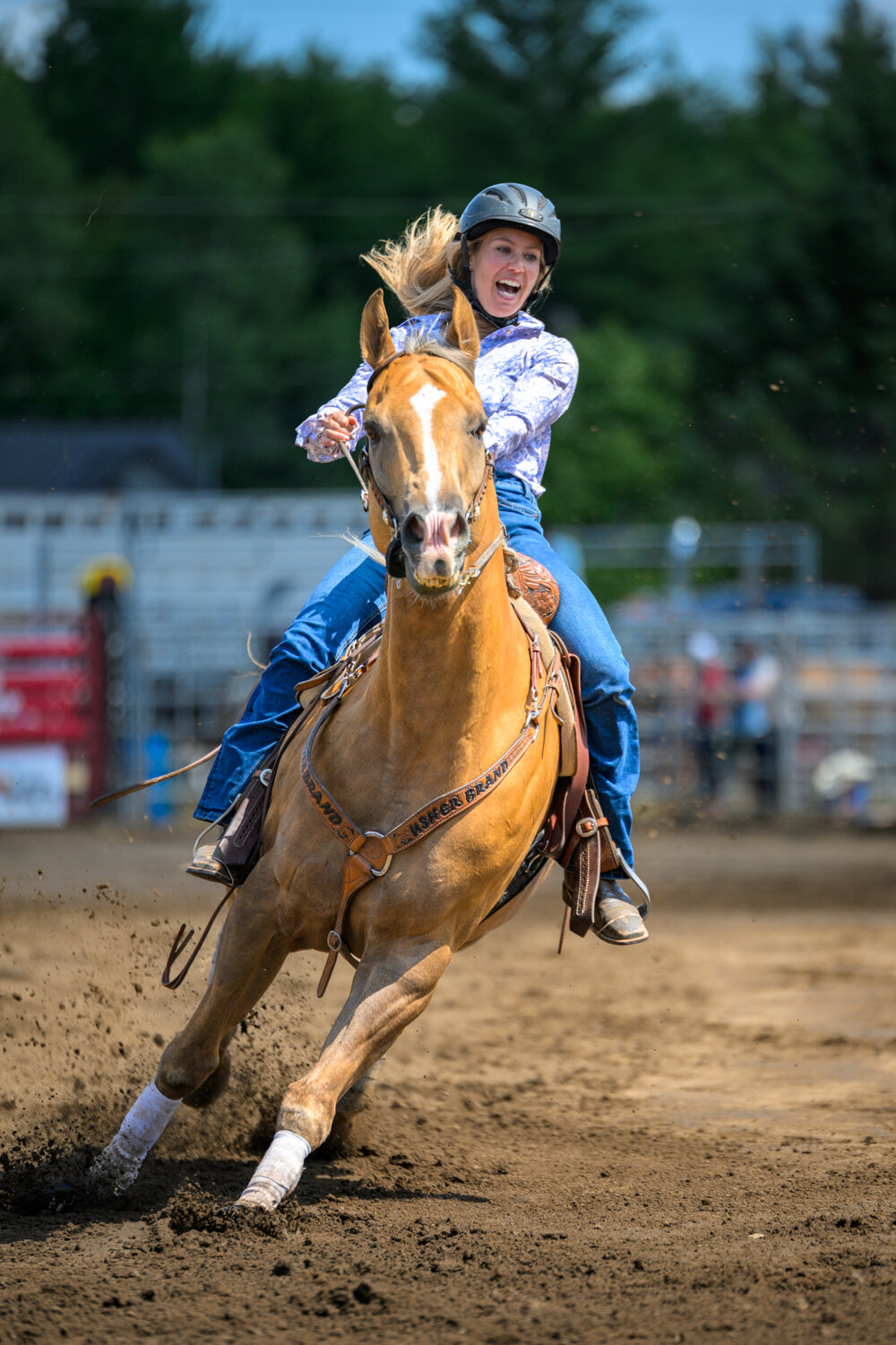 Photo #14078266