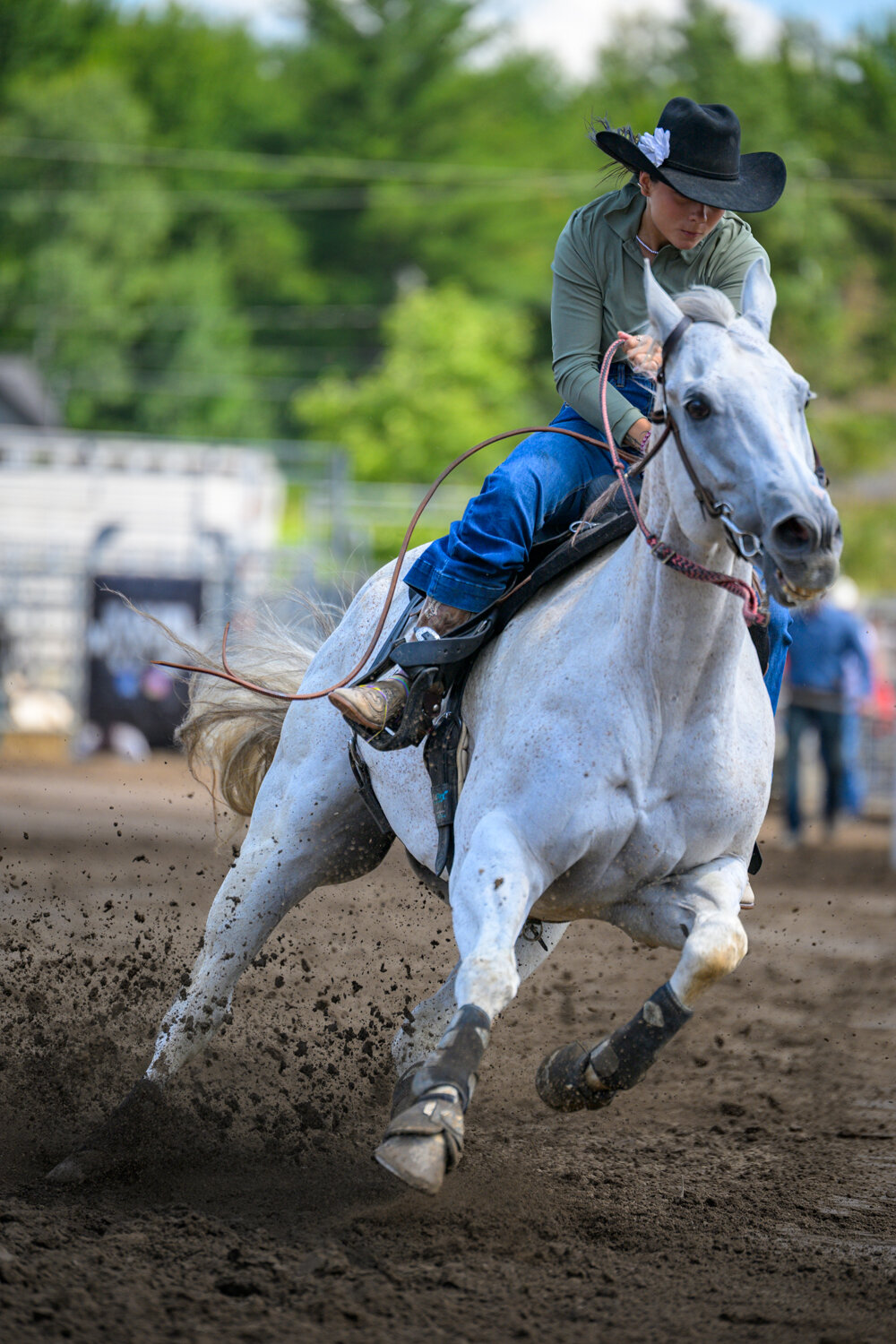 Photo #14078267