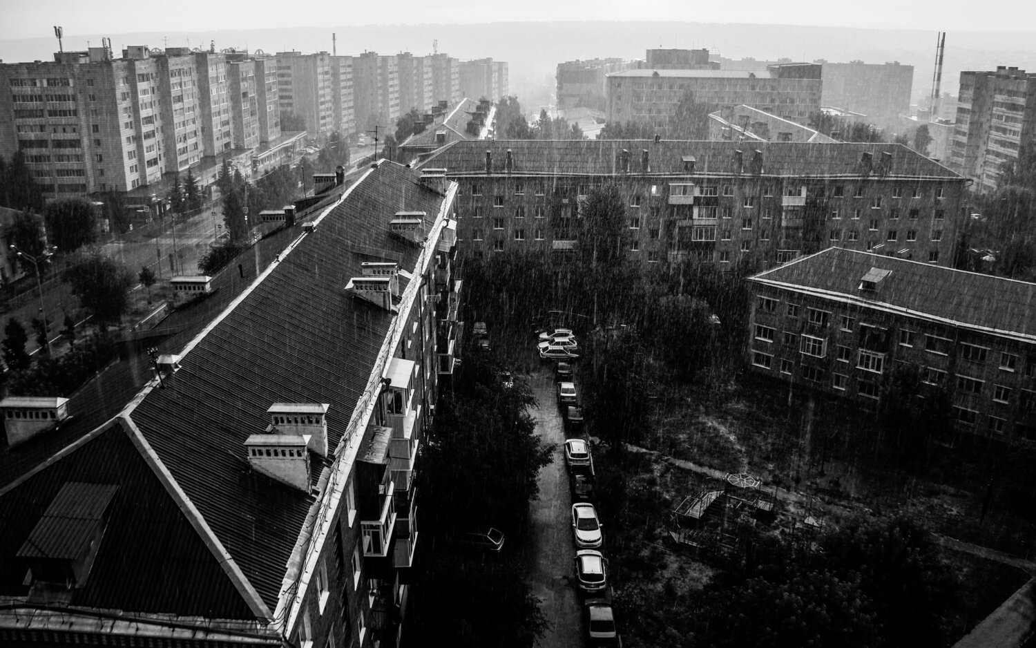 Фотография #14078284