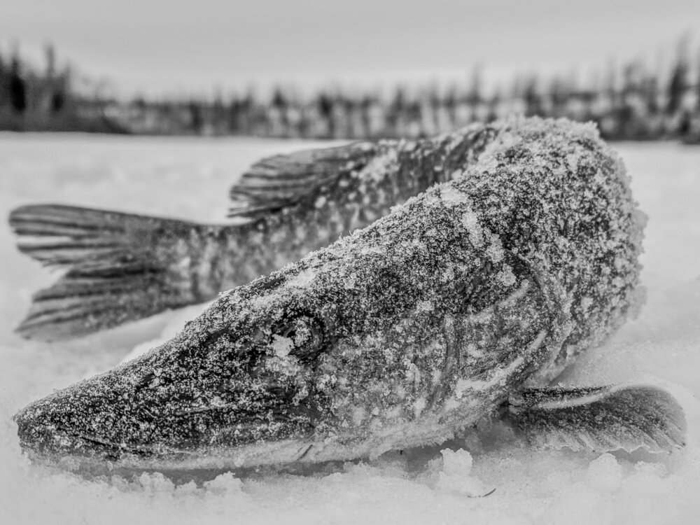 Photograph by Viktoriya Kim