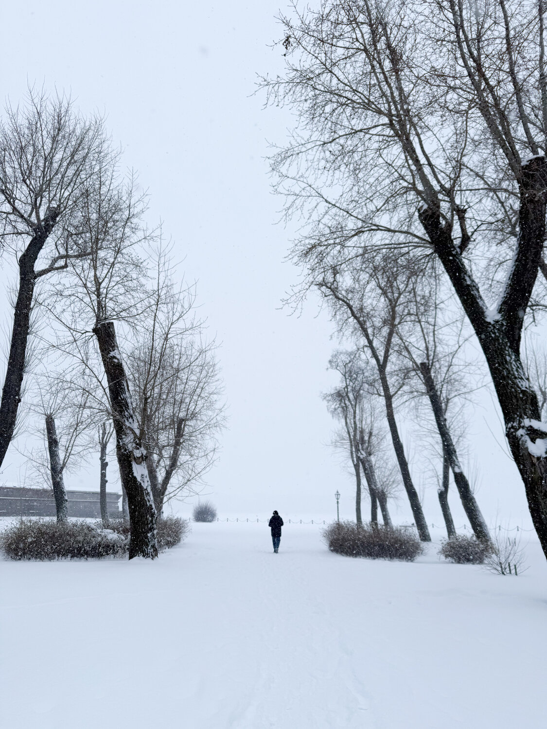 Photo #14078304
