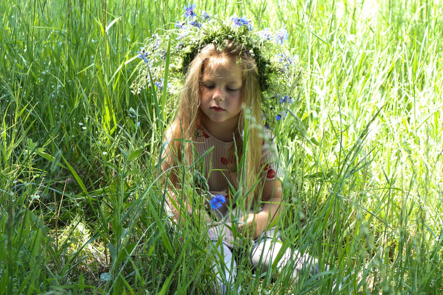 Photo #14078342