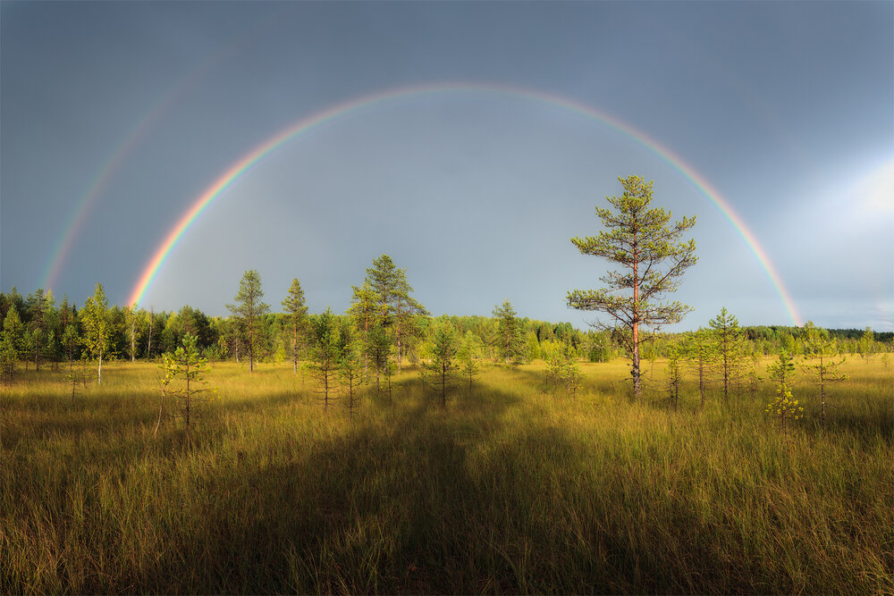 Фотография автора Иван Чаланов