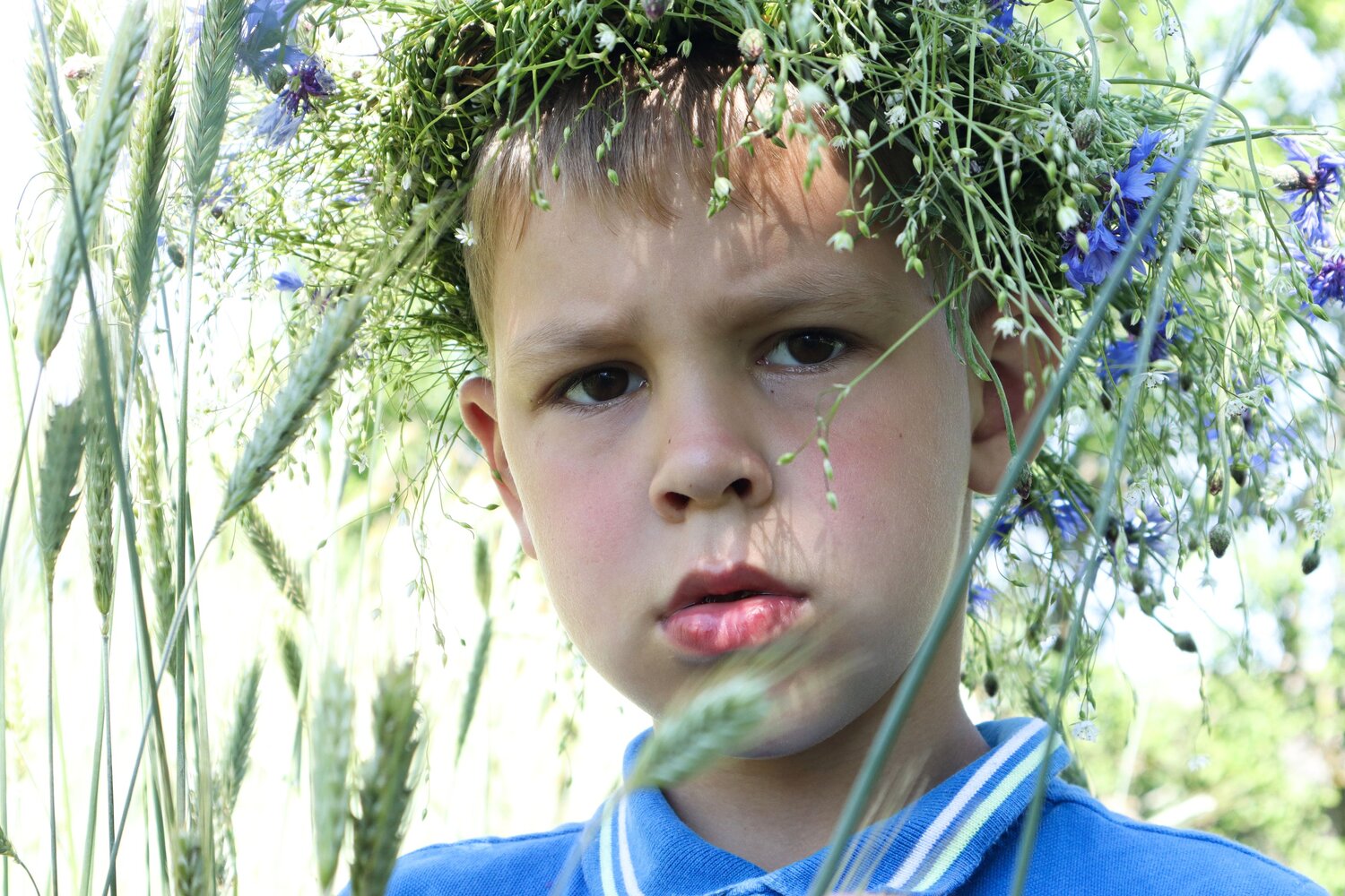 Photo #14078359