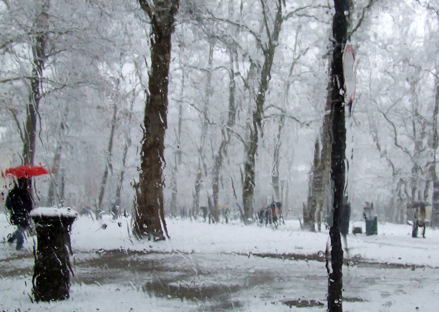 Photo #14078549
