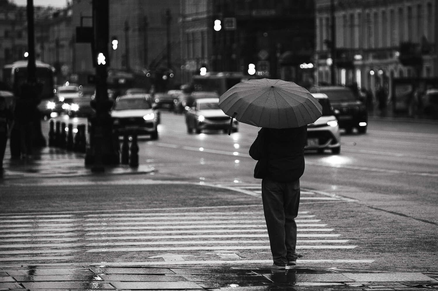 Photo #14078583
