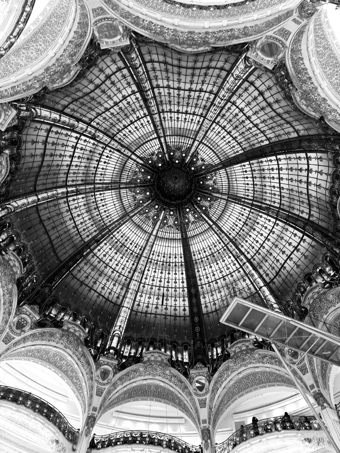 Photo #14078726