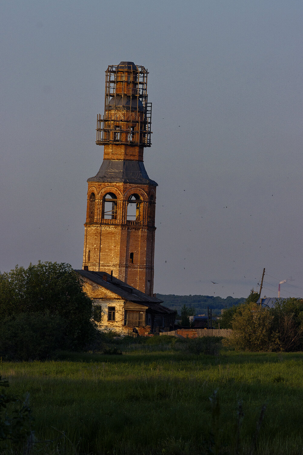 Photo #14078729