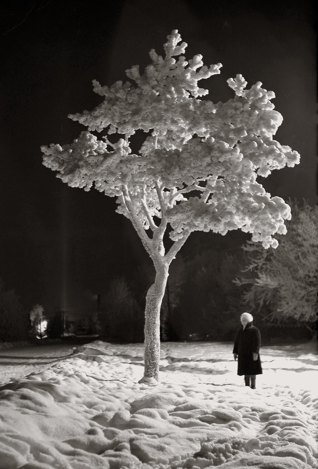 Photo #14078739