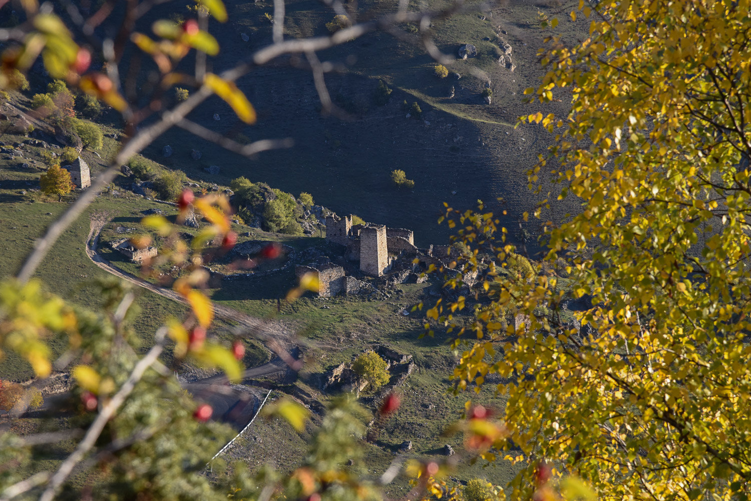 Photo #14078746
