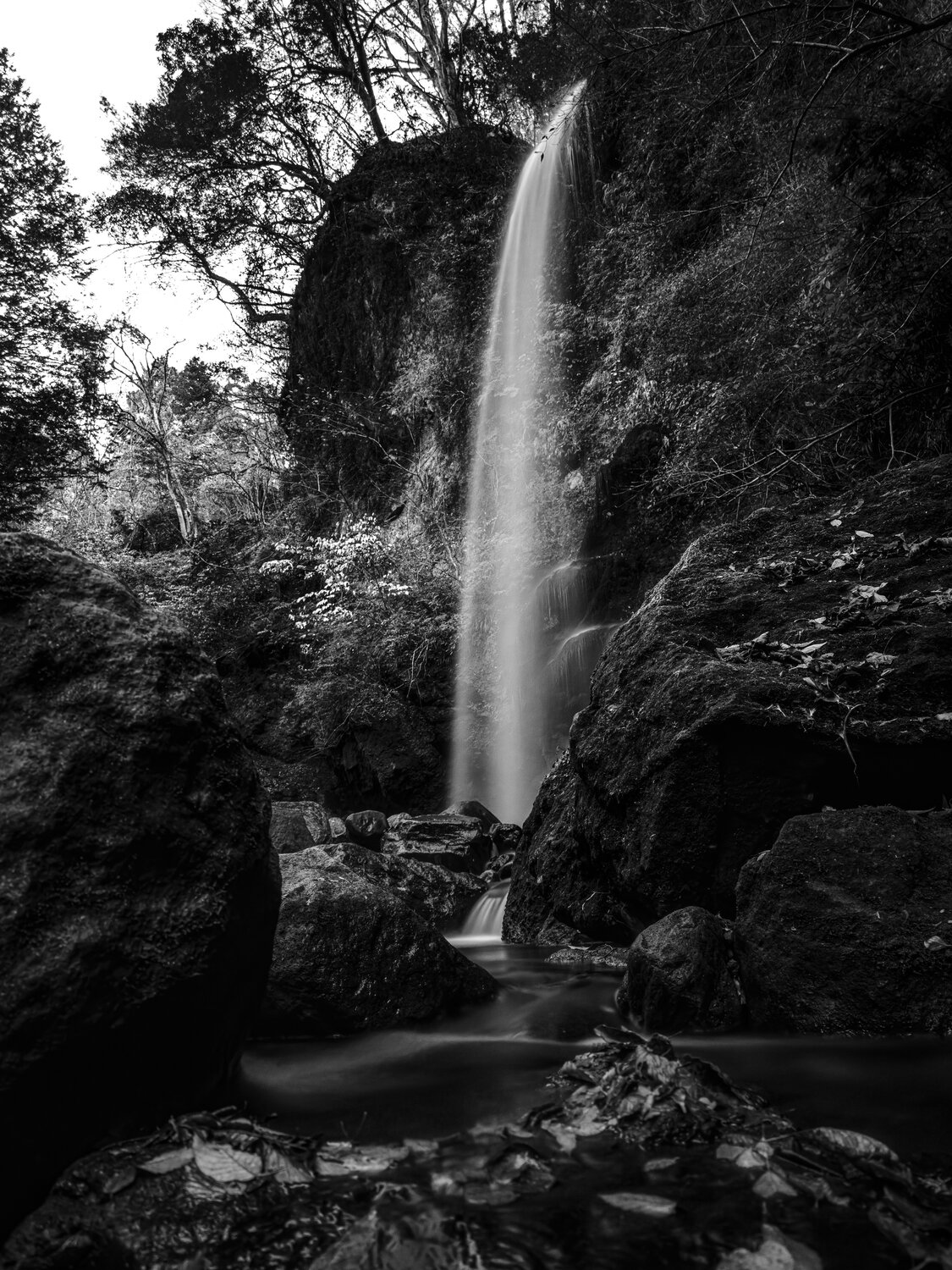 Photo #14078764