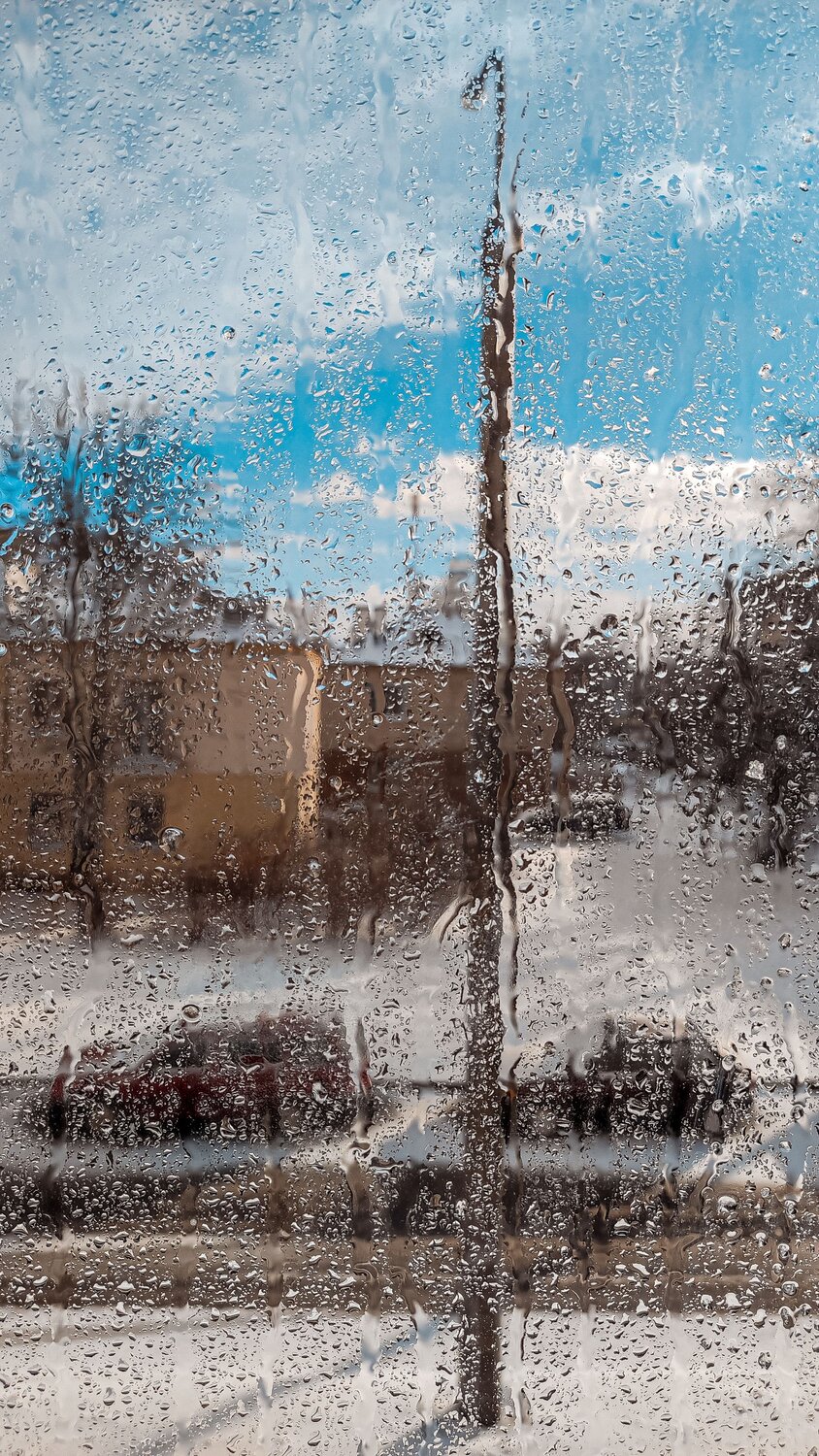 Photo #14078825