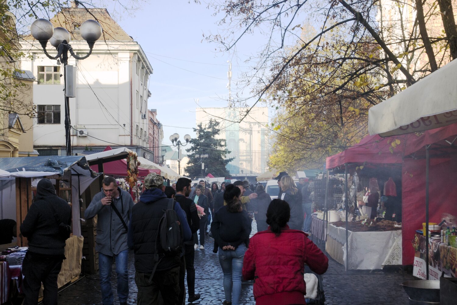 Photo #14078830