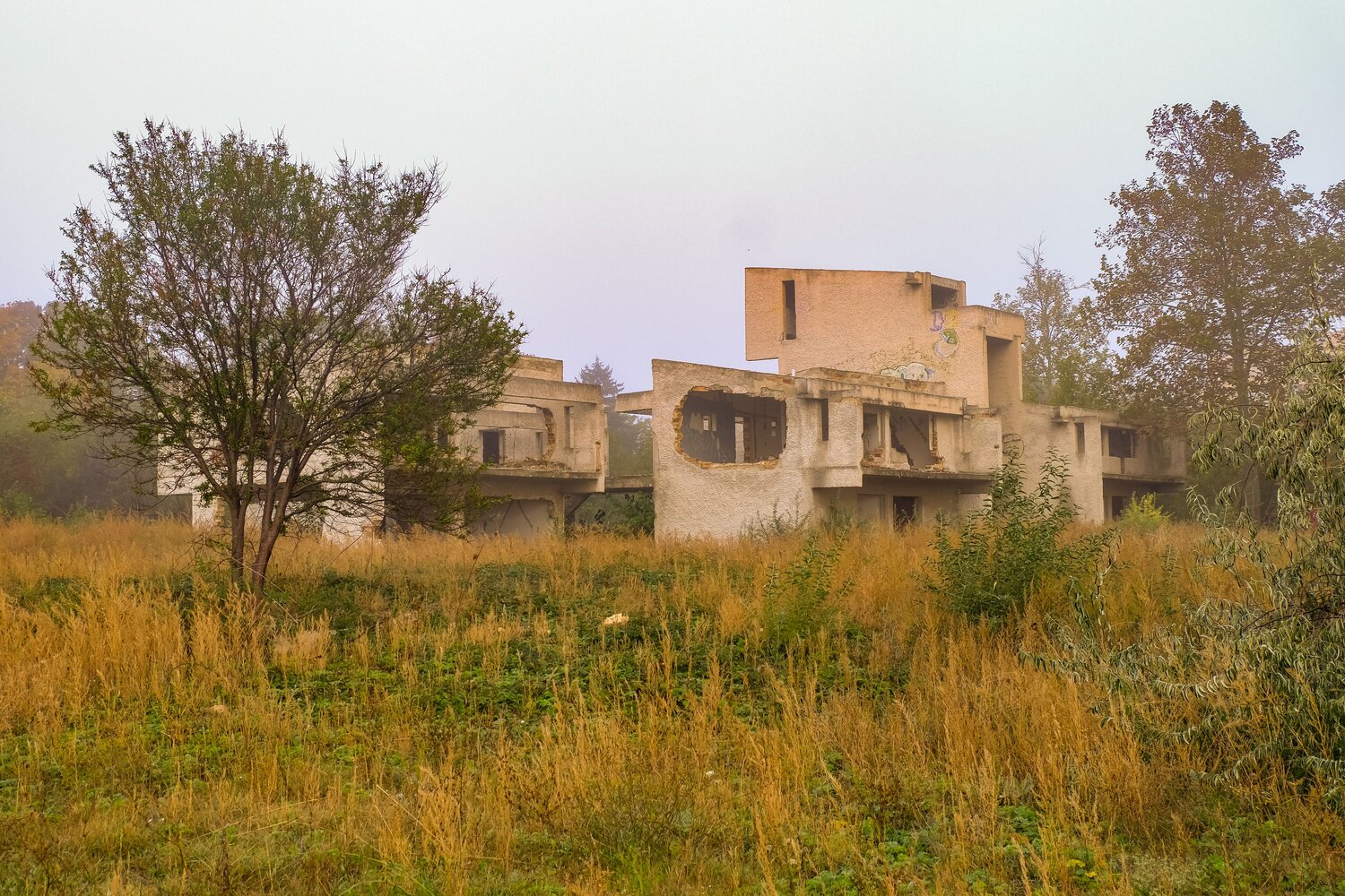 Photo #14078891