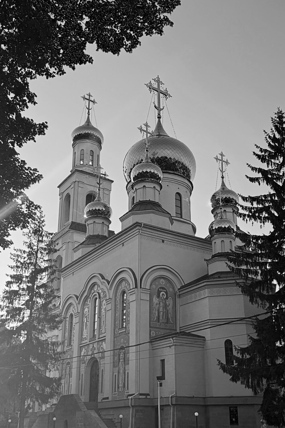 Photo #14079397