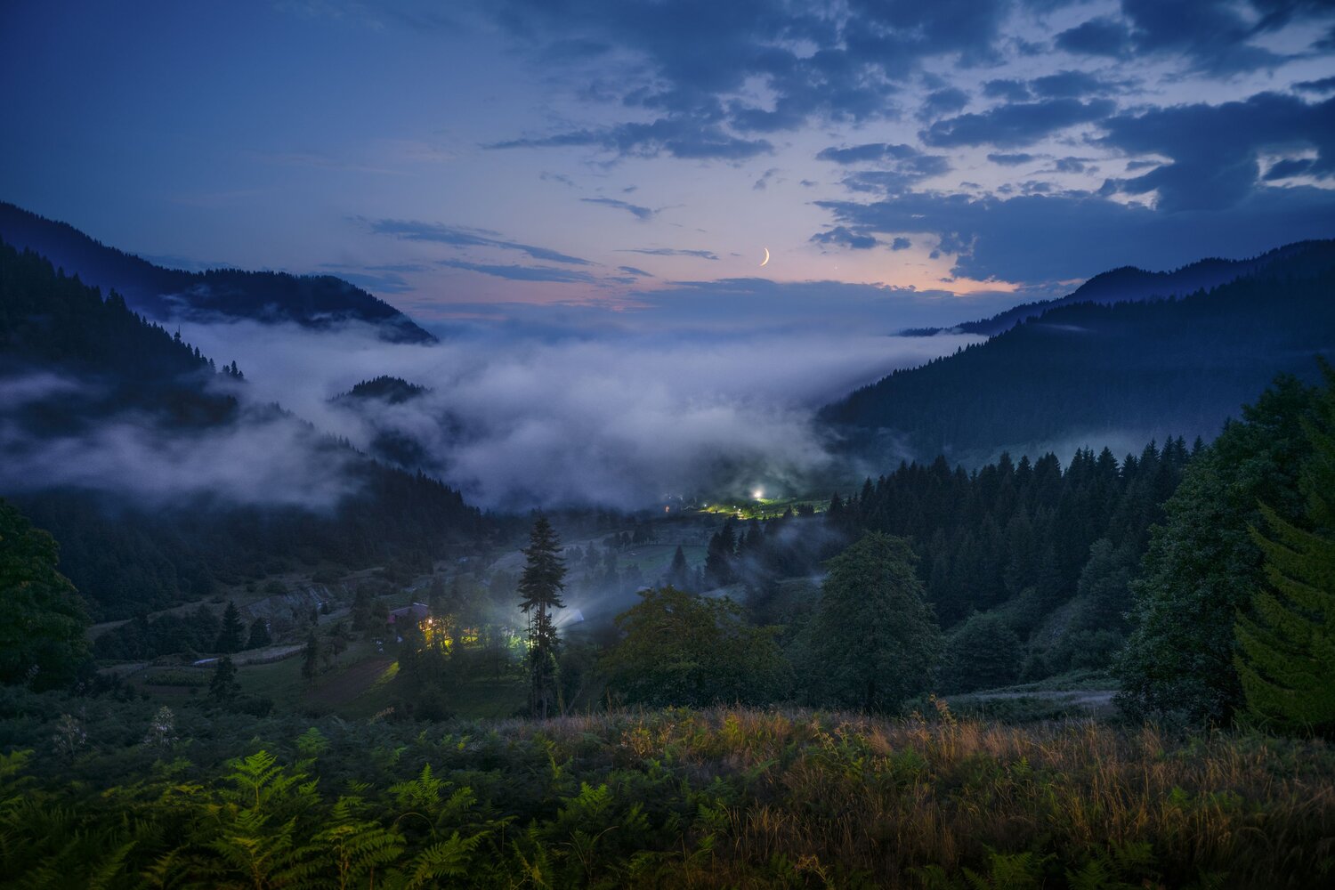 Photo #14079446