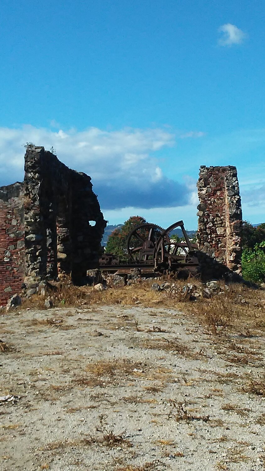 Photo #14079474