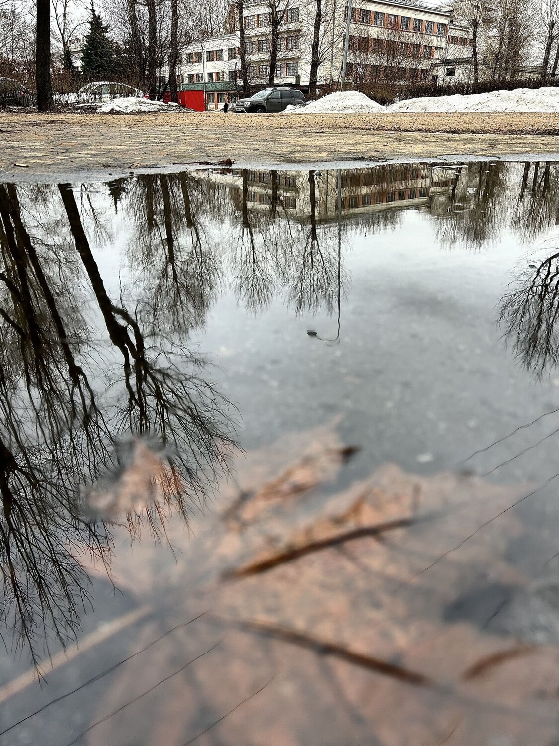 Photo #14079486
