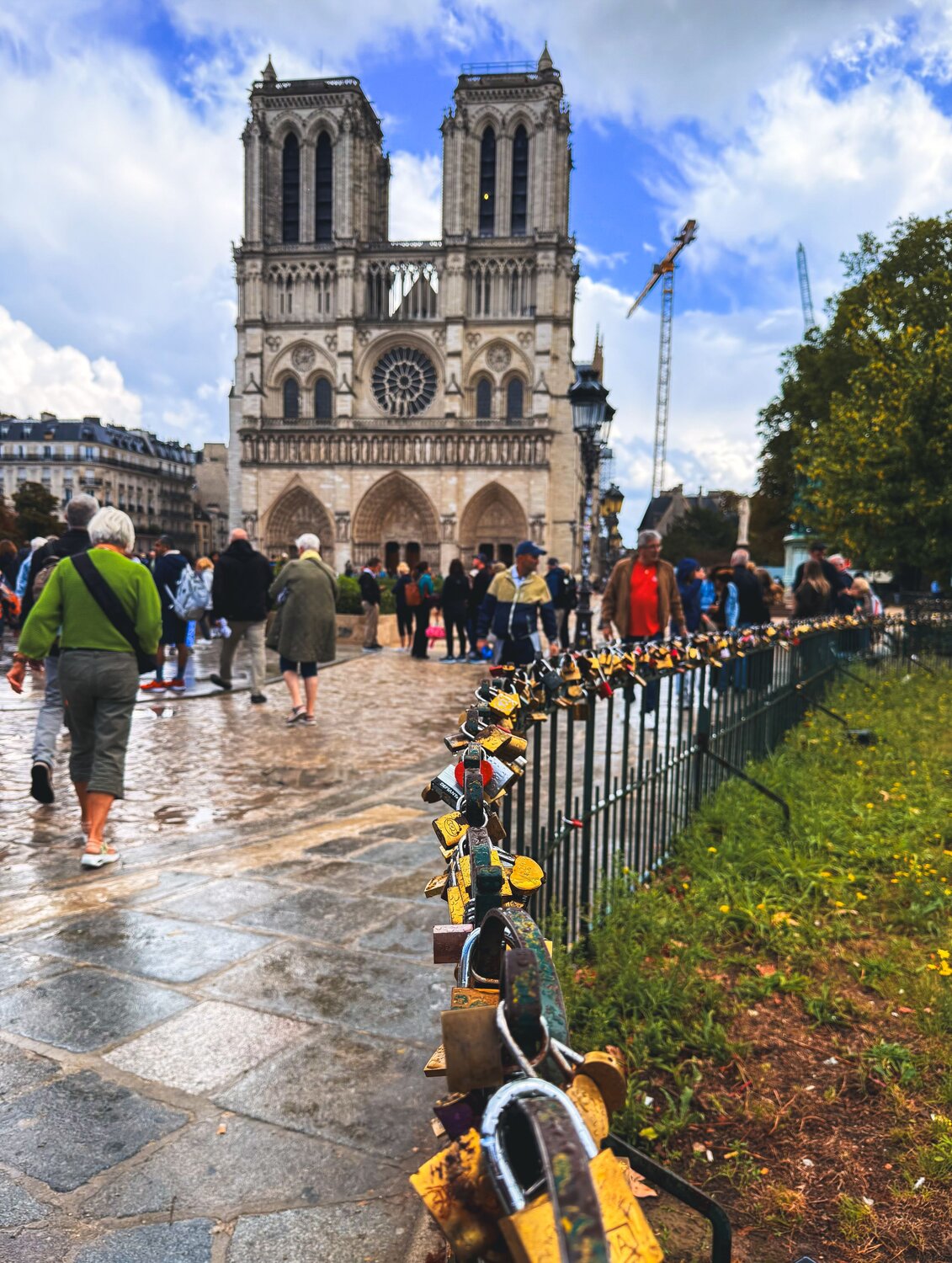 Photo #14079513