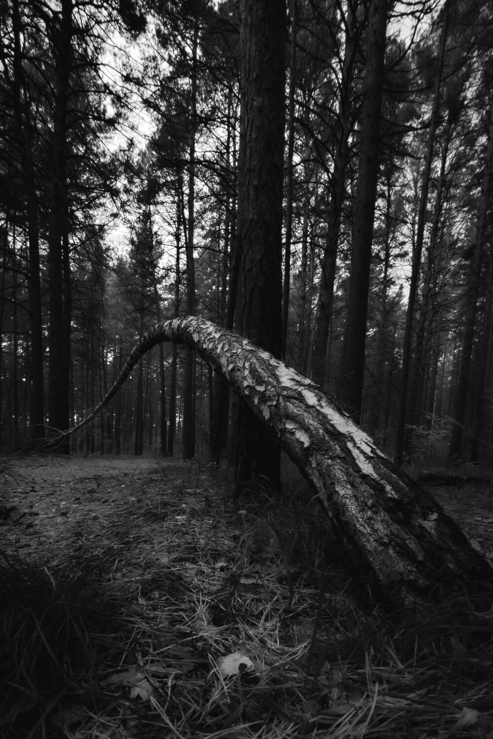 Photo #14079549