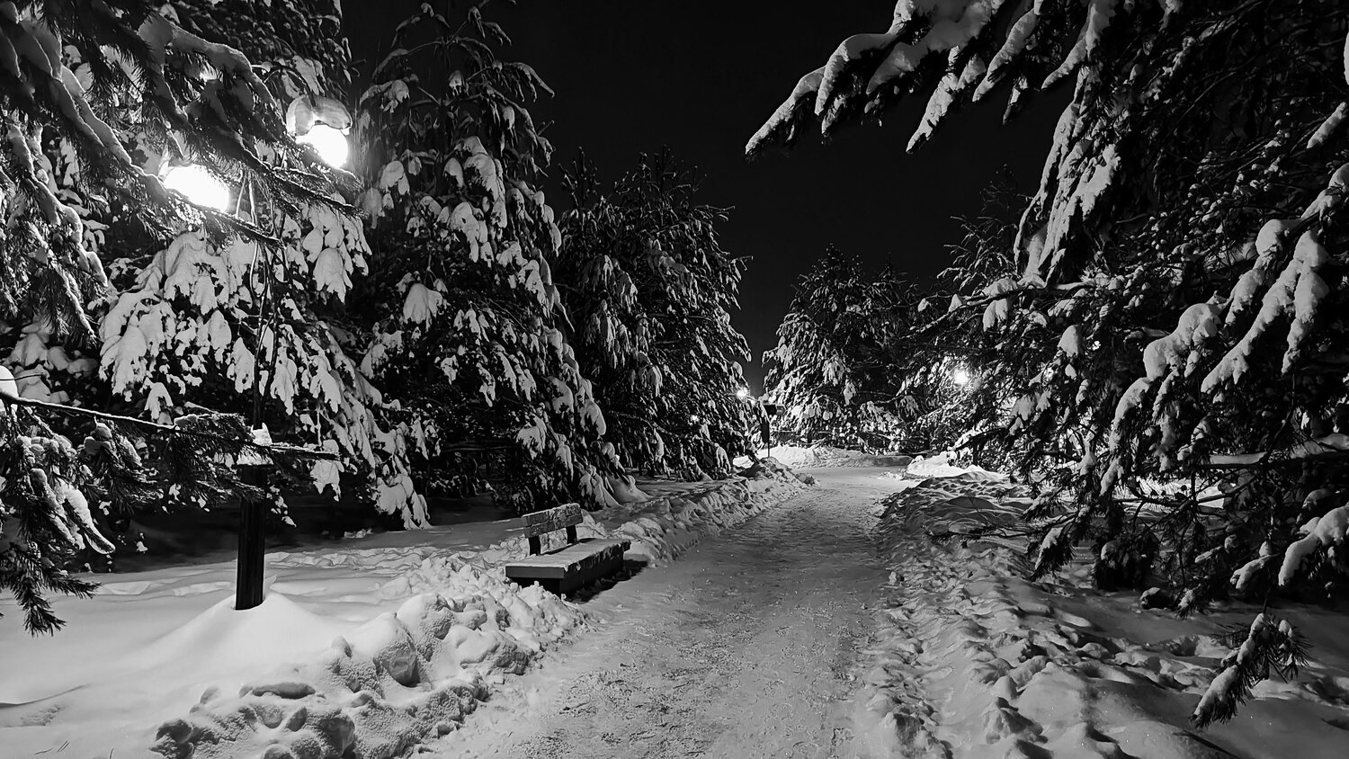 Photo #14079552