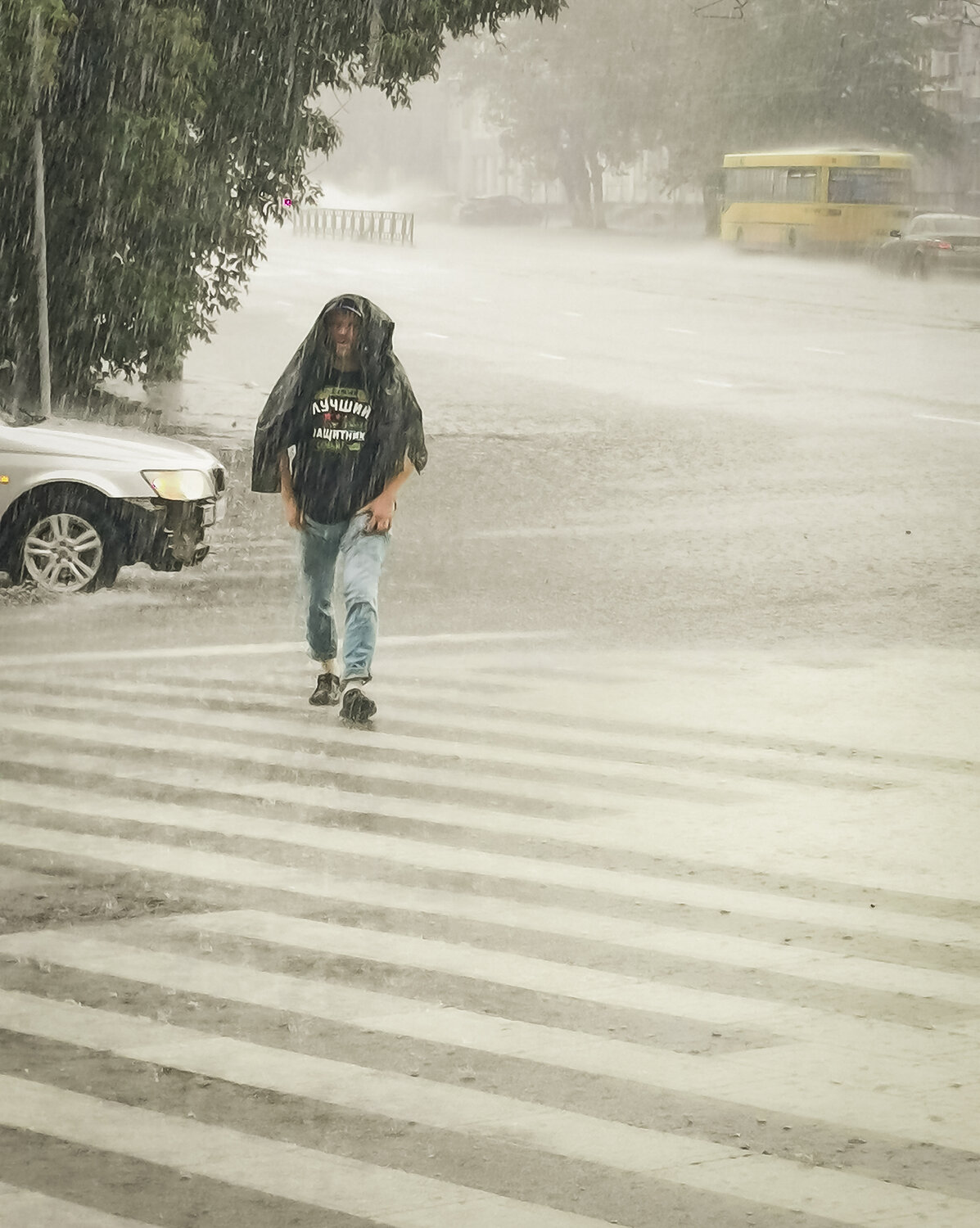 Photo #14079558