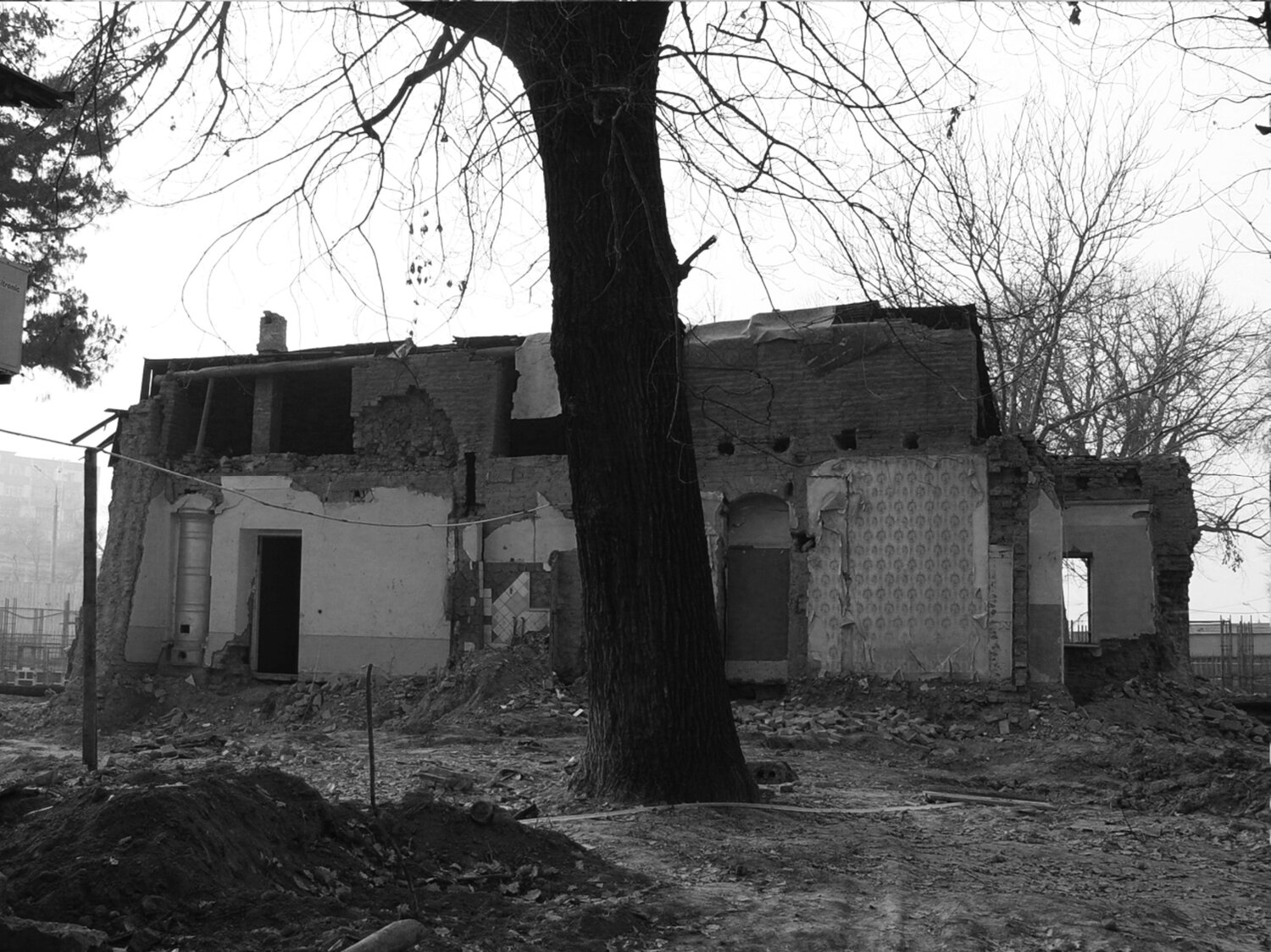 Photo #14079607