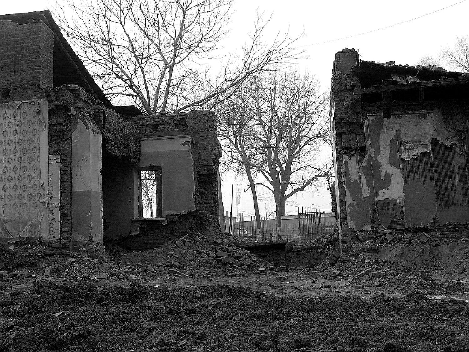 Photo #14079642