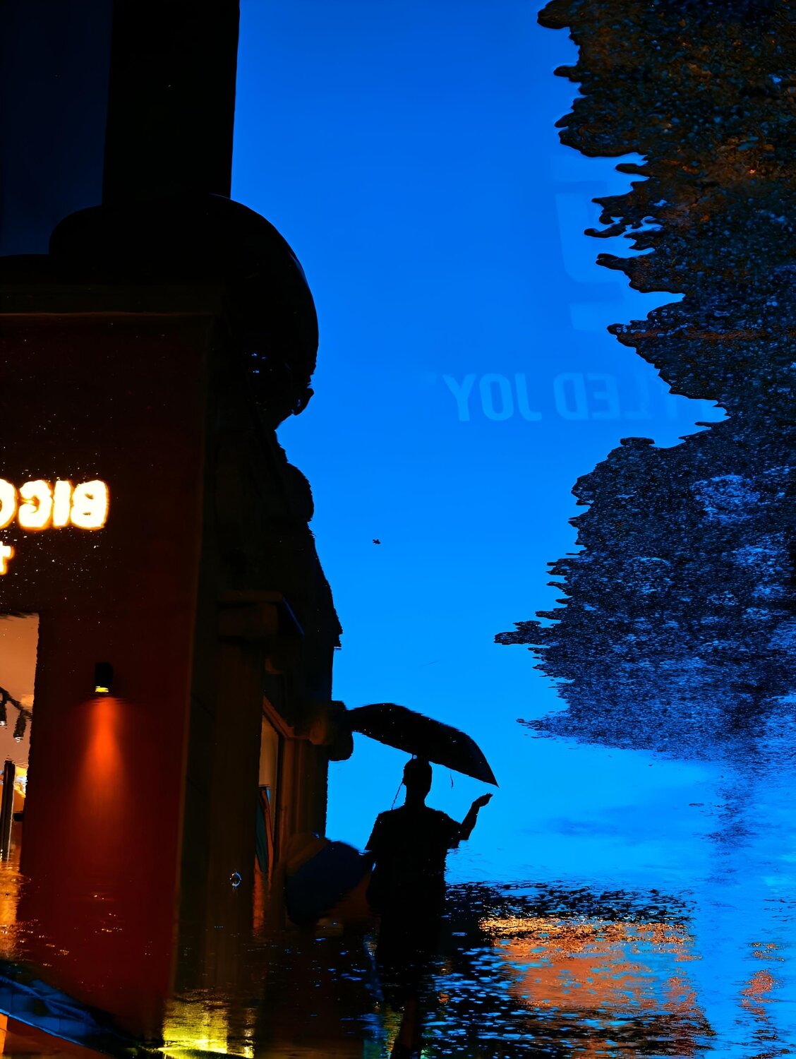 Photo #14079650