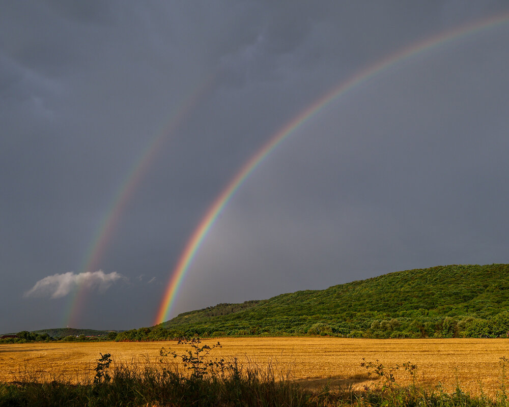 Photograph by Igor Maksimenko