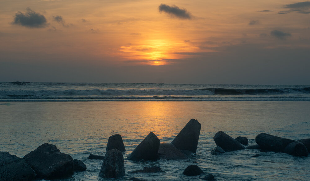 Golden Horizon at the Coast
