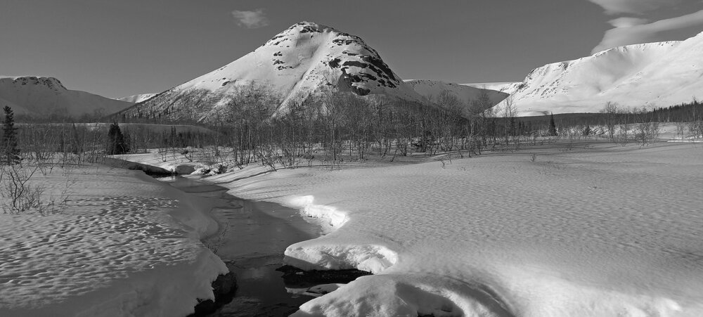 Photograph by Александр Кожевников