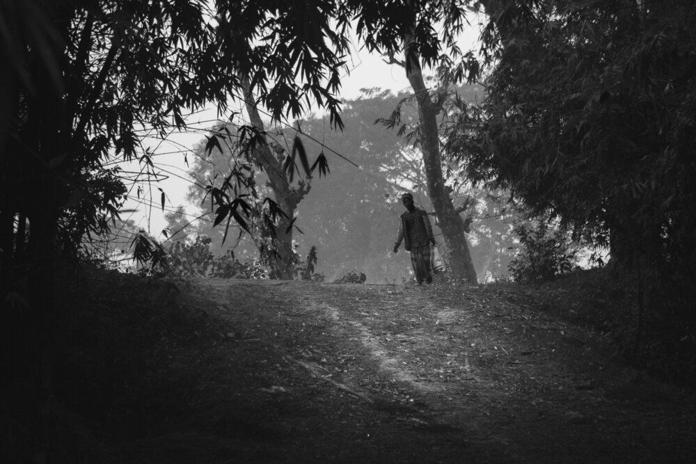 Echoes of the Village Path