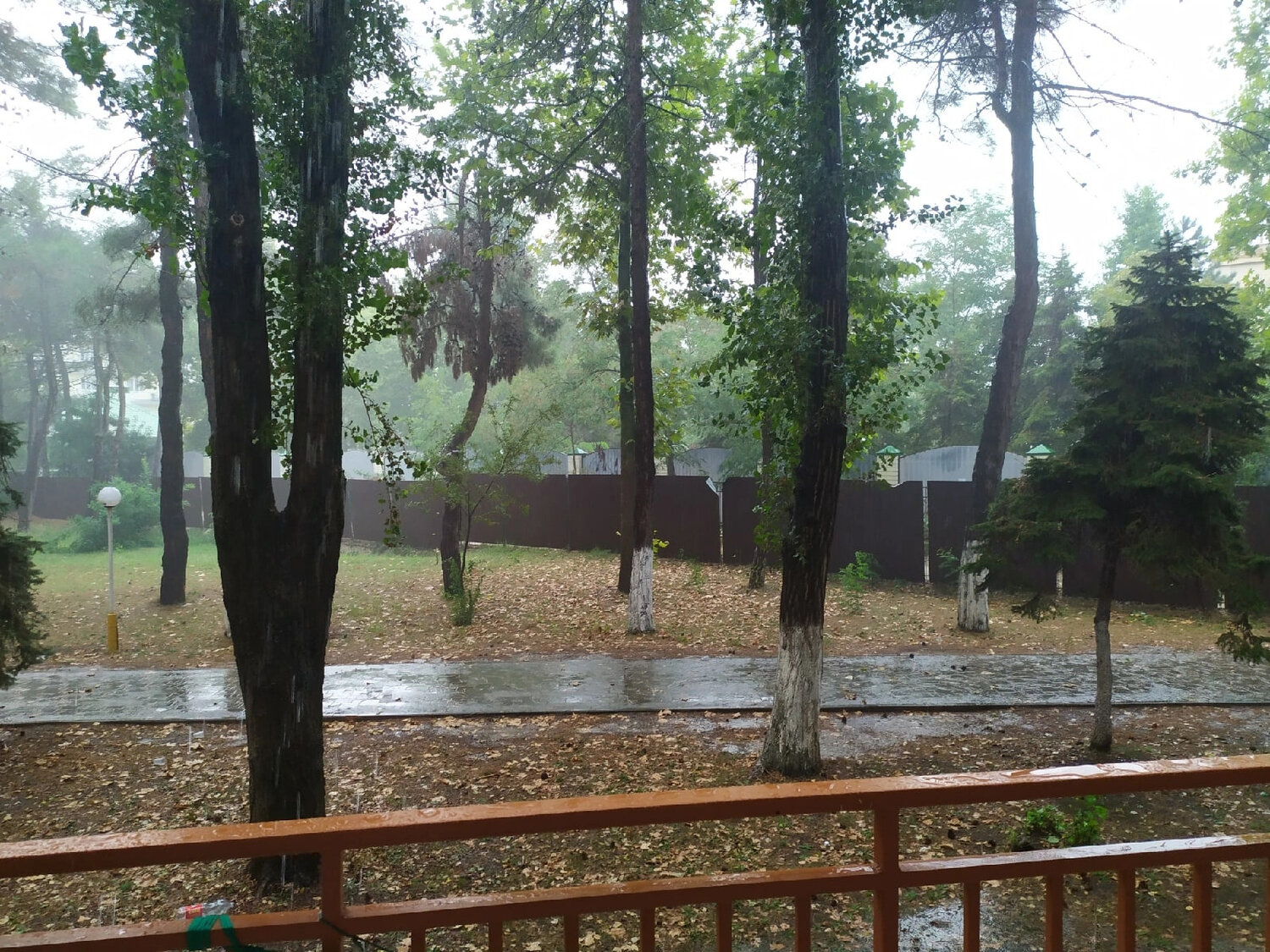 Photo #14080131